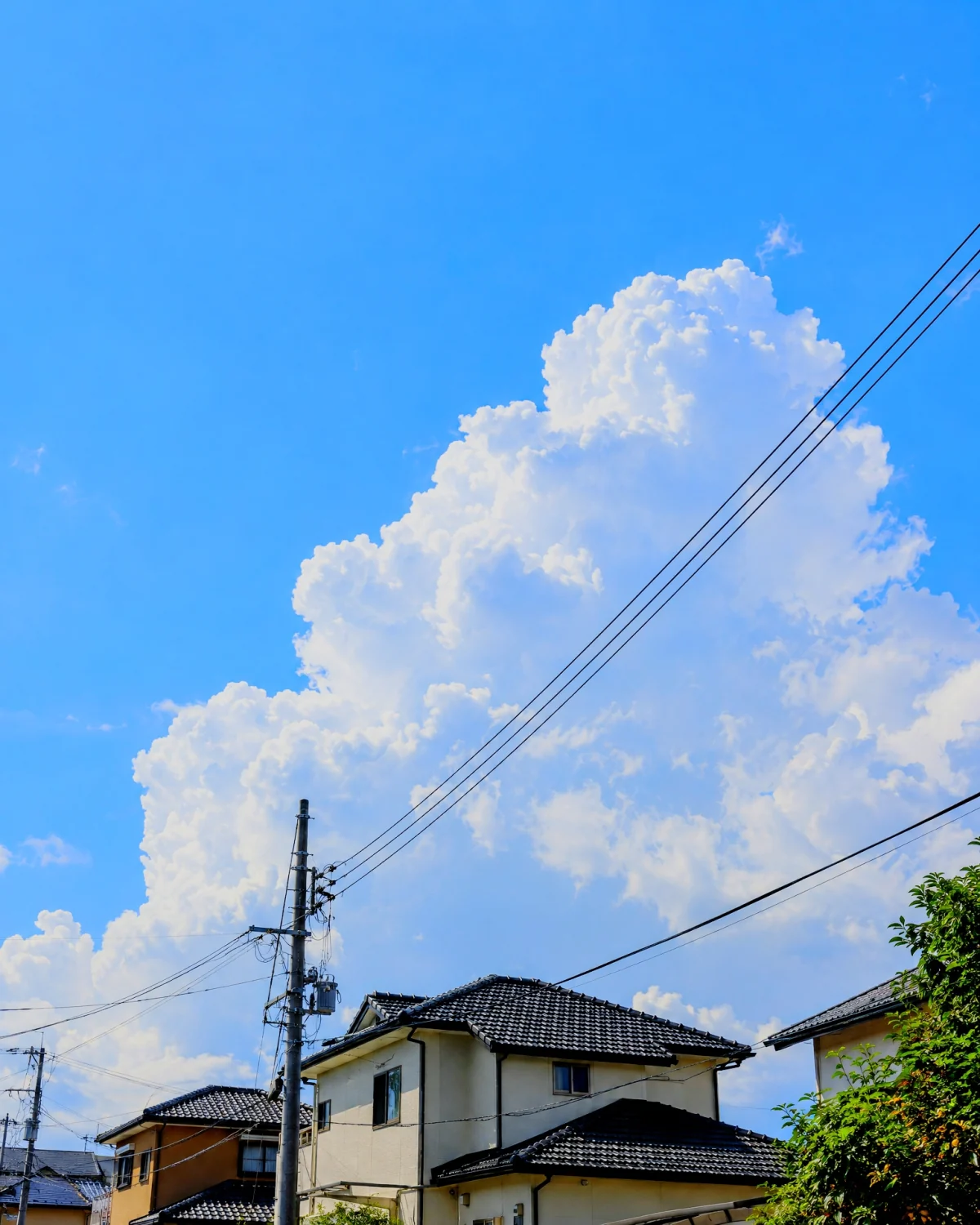 Summer clouds above Japanese rooftops and overhead wires, rendered with Digicam Chroma